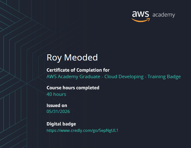 AWS Developer Associate Certificate